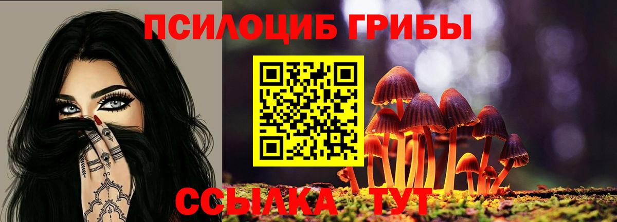 Псилоцибиновые грибы MAGIC MUSHROOMS Котлас